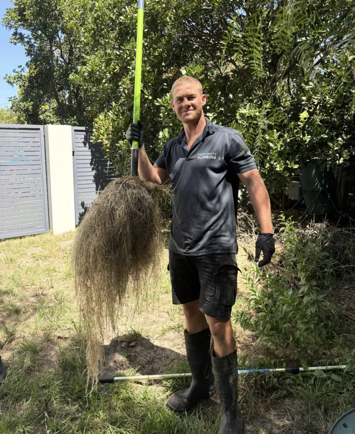 A full root mass removed from a blocked drain line